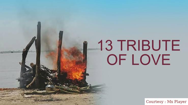 Watch Free  13 Tribute of Love Full Movie Online