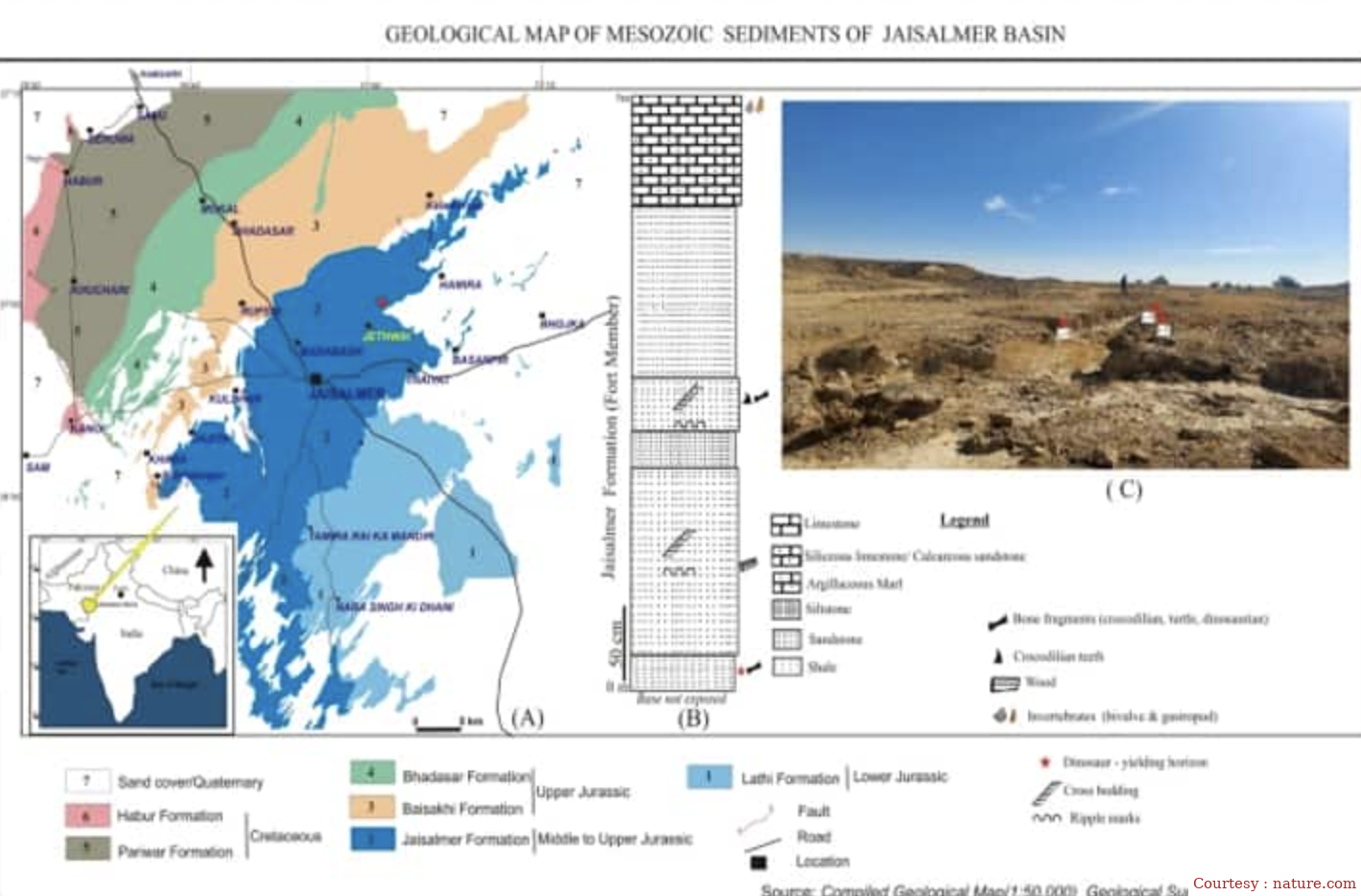 राजस्थान में पाए गए 16.7 करोड़ प्राचीन डायनासोर के अवशेष