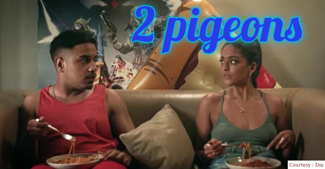 2 pigeons