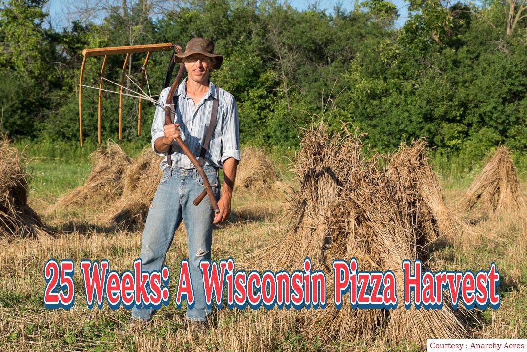 25 Weeks: A Wisconsin Pizza Harvest