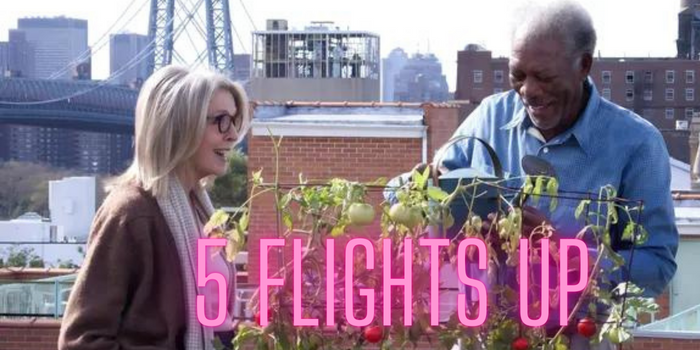 Watch Free  5 Flights Up Full Movie Online