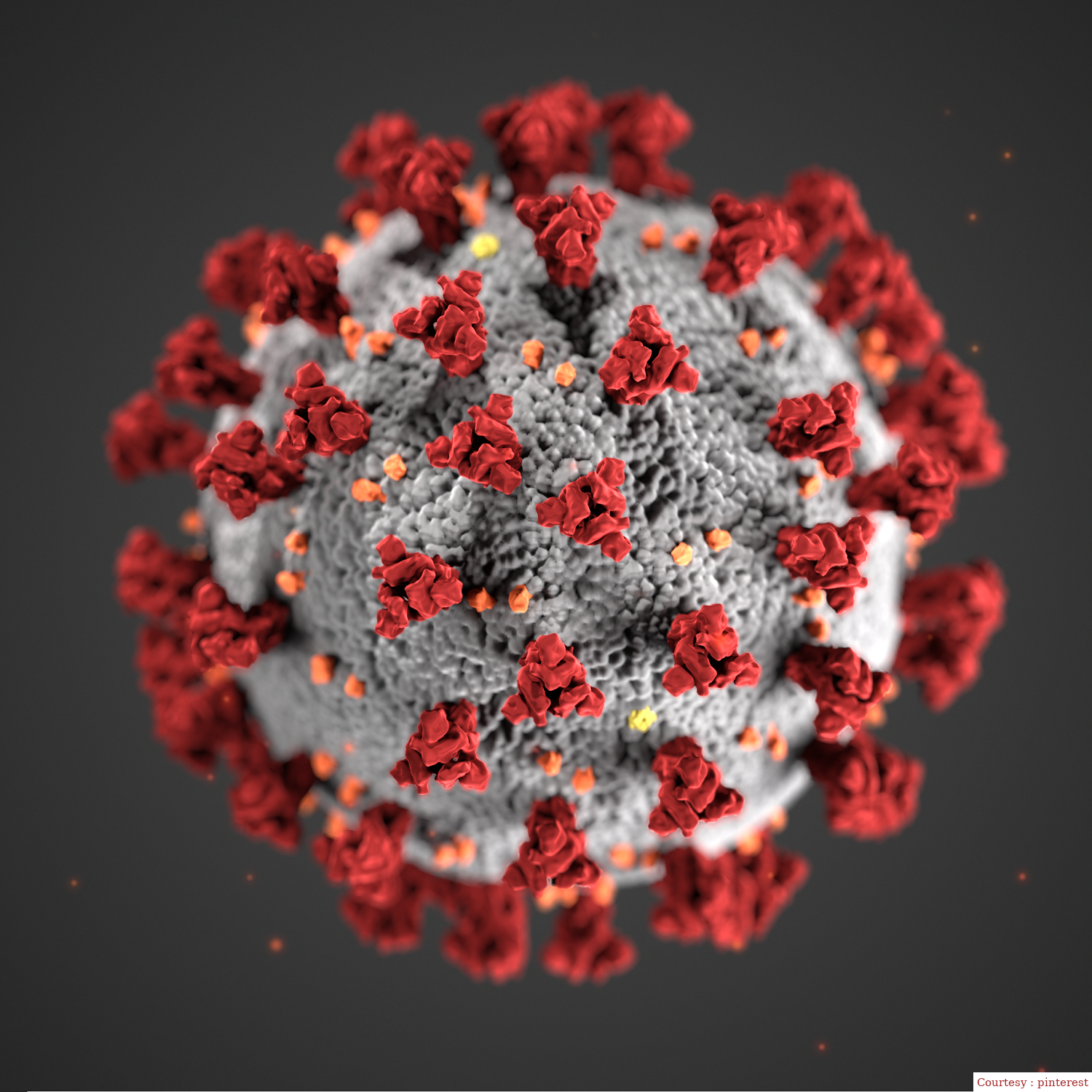 भारत में कोविड के बढ़ते प्रभाव से सरकार हाई अलर्ट पर।