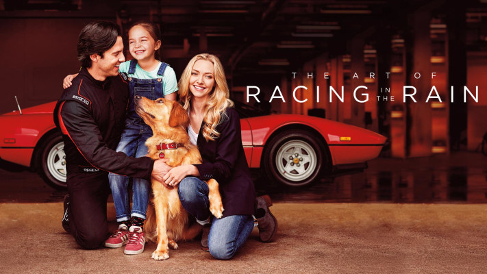 Watch Free  The Art of Racing in the Rain Full Movie Online