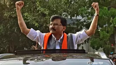 ED to probe if Sanjay Raut wrote weekly column from jail