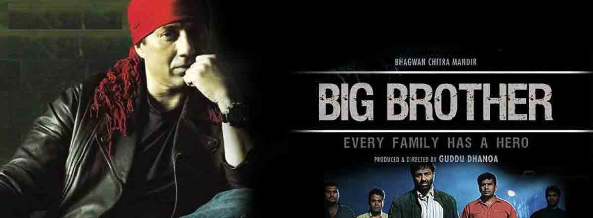 Watch Free Big Brother Full Hindi Movie Online