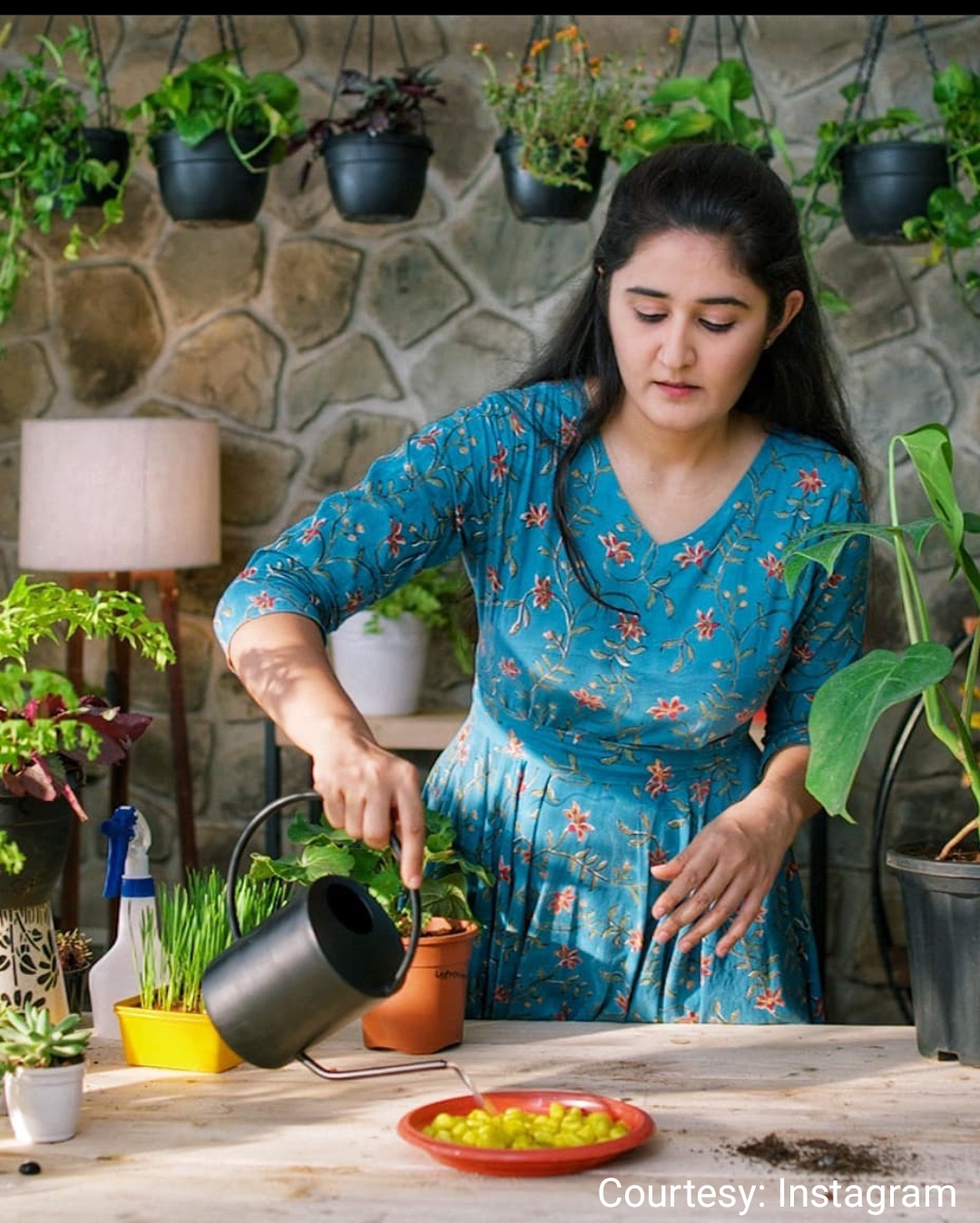 Startup started from a small room, today 1 thousand square feet house.