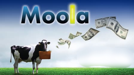 Moola