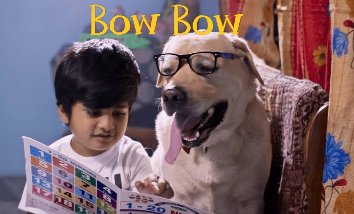 Bow Bow