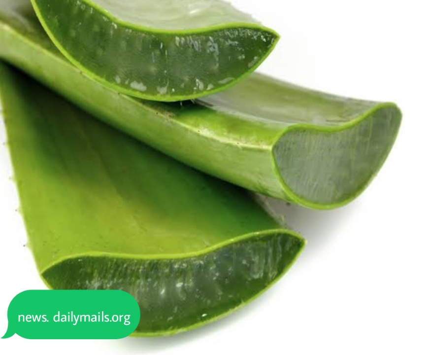 Night skin care routine