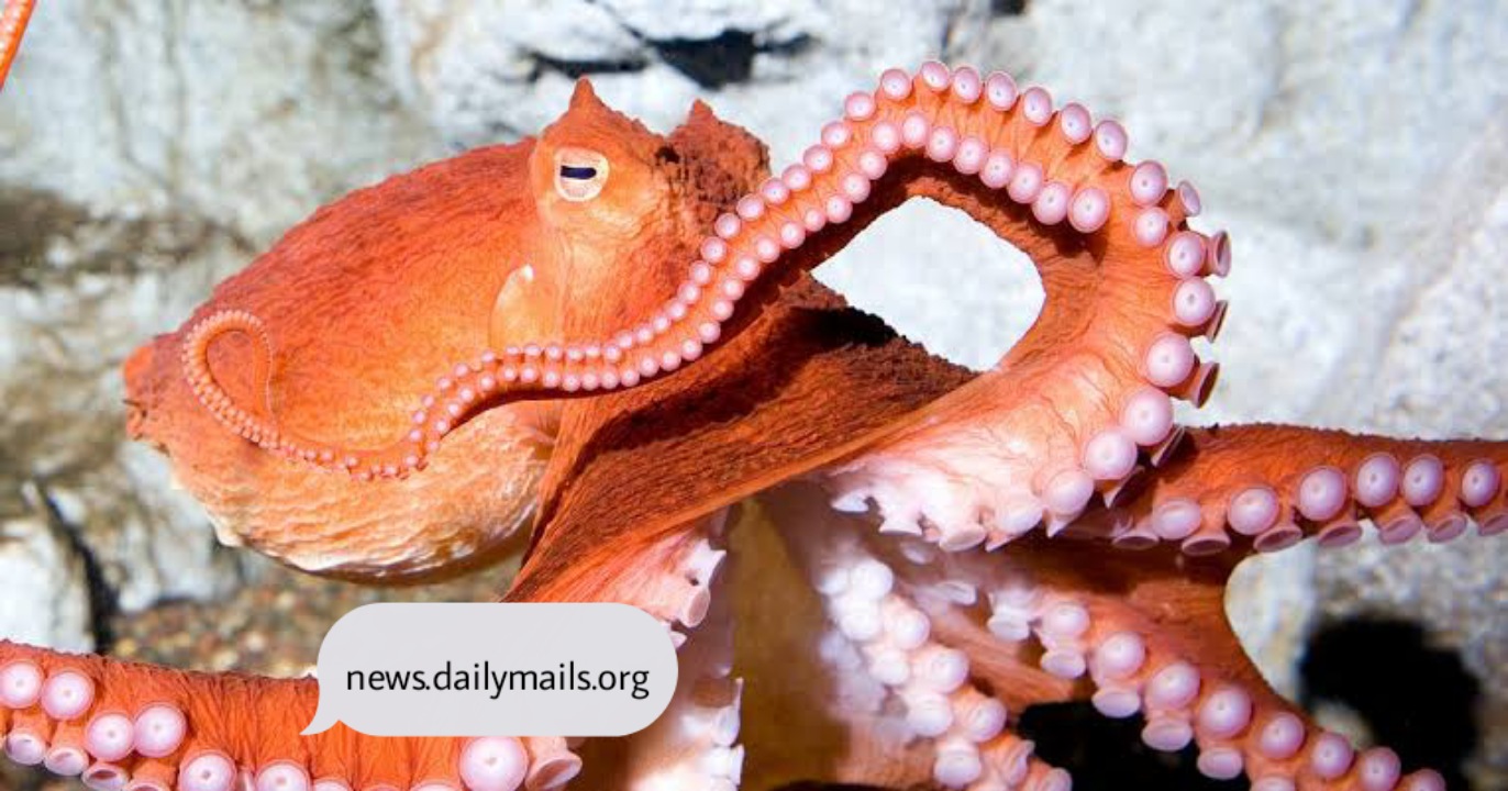 १० मजेदार तथ्य