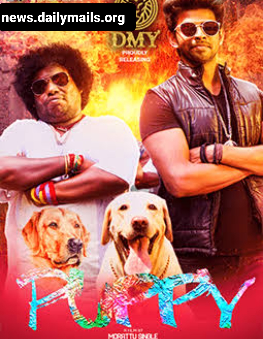 Watch Free Puppy Full Hindi Movie Online