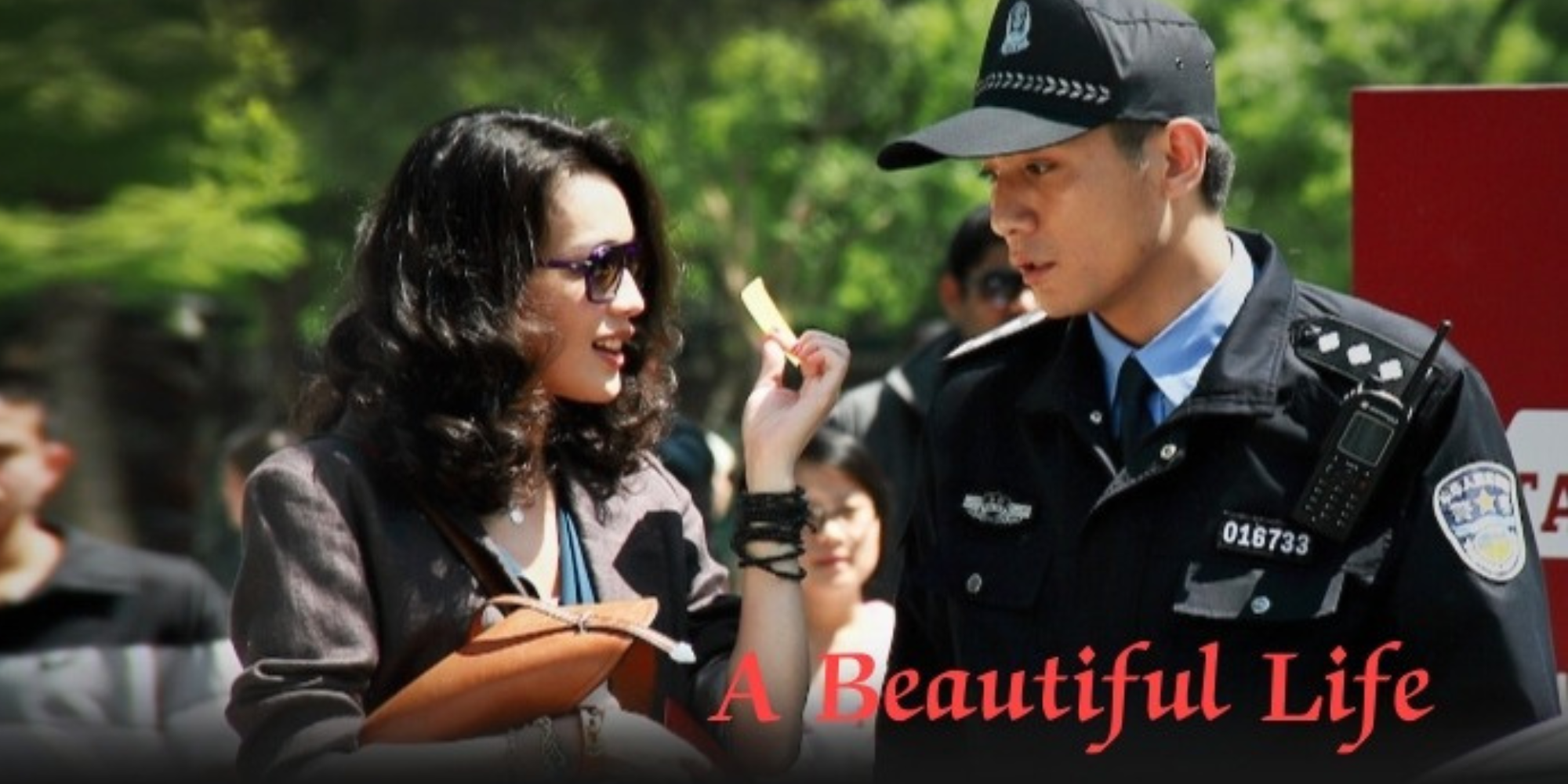 A Beautiful Life 