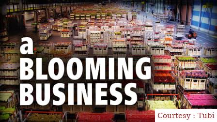 A Blooming Business