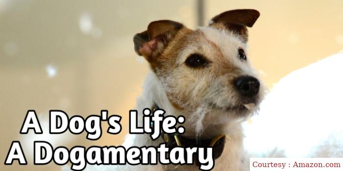 Watch Free  A Dog's Life: A Dogamentary Full Movie Online