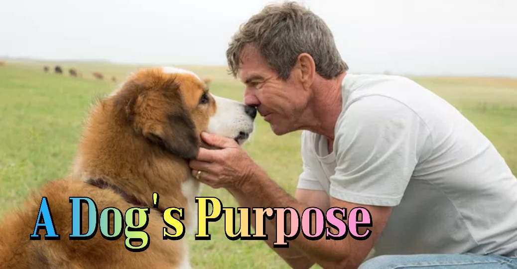 Watch Free A Dog's Purpose Full Movie Online