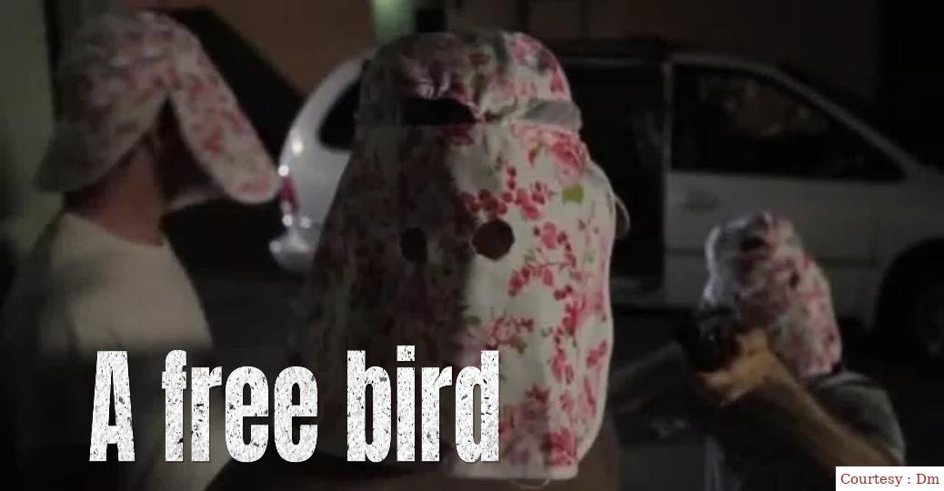 Watch Free  A Free Bird Full Movie Online