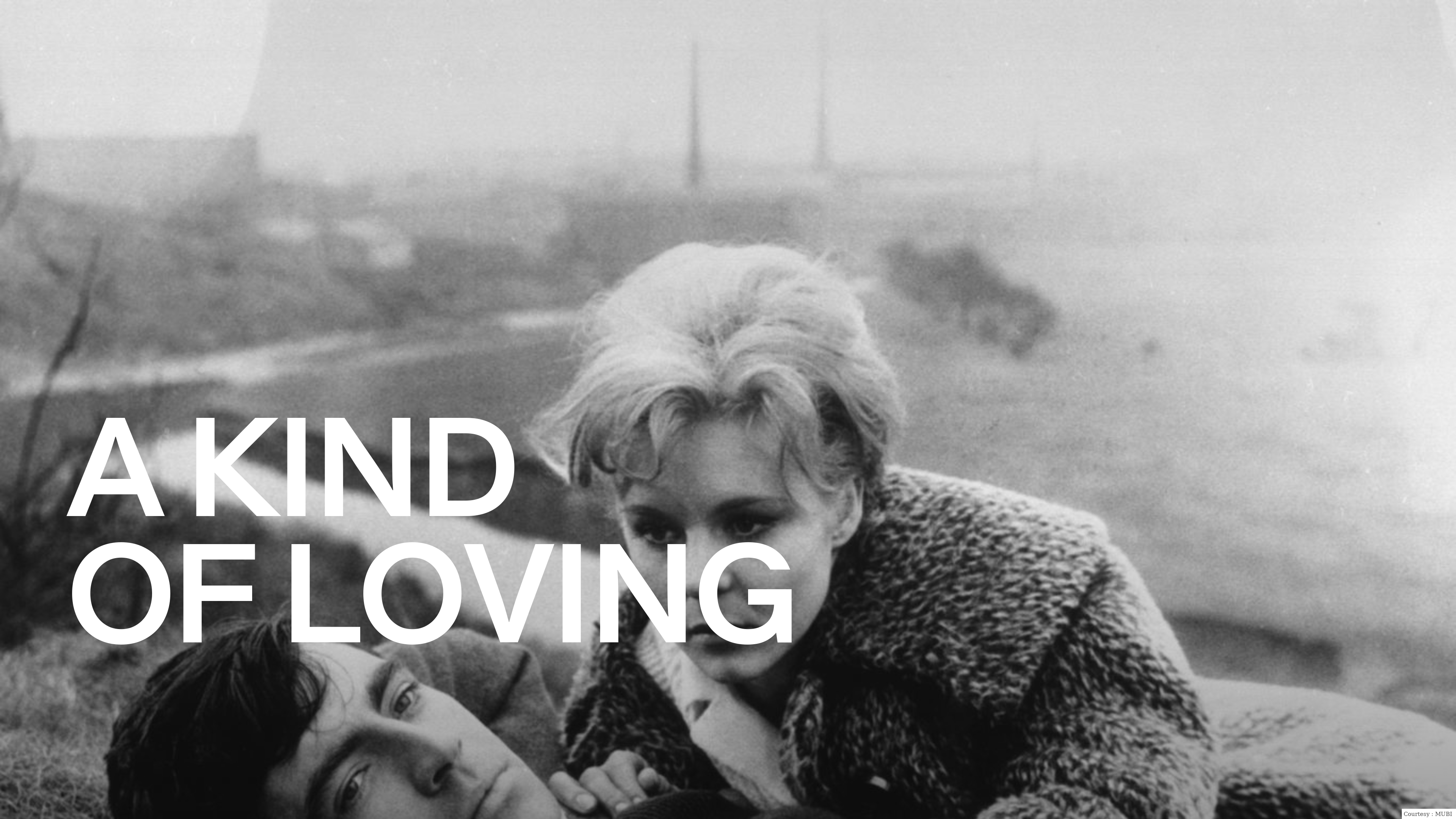 Watch Free  A Kind of Loving Full Movie Online