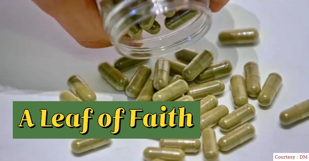 A Leaf of Faith