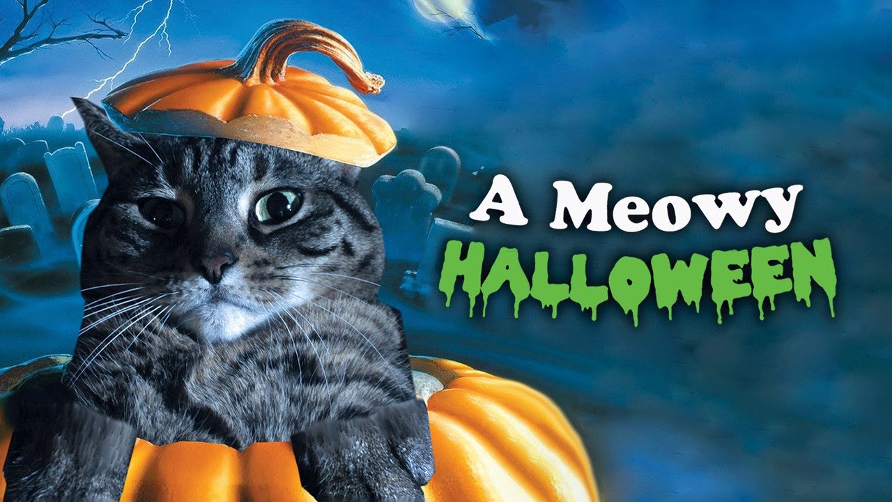 A Meowy Halloween 