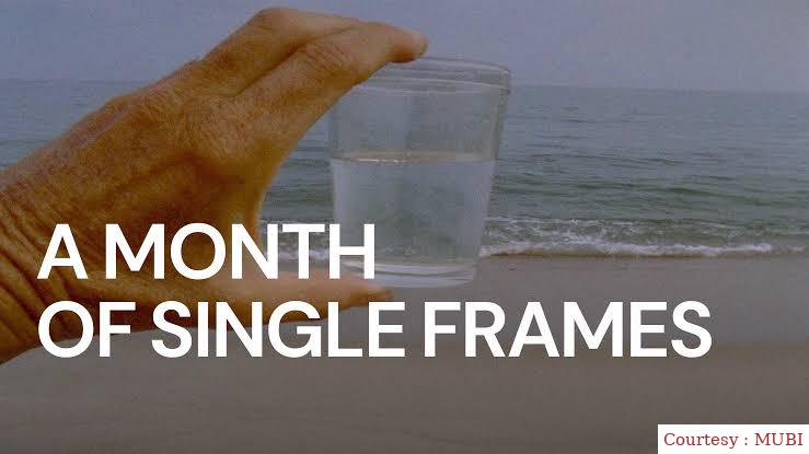 A Month of Single Frames
