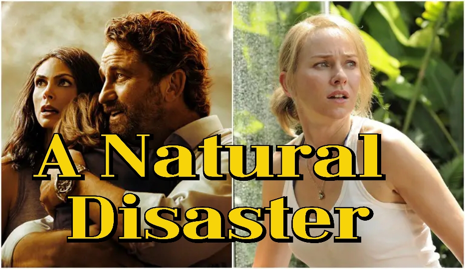 A Natural Disaster 