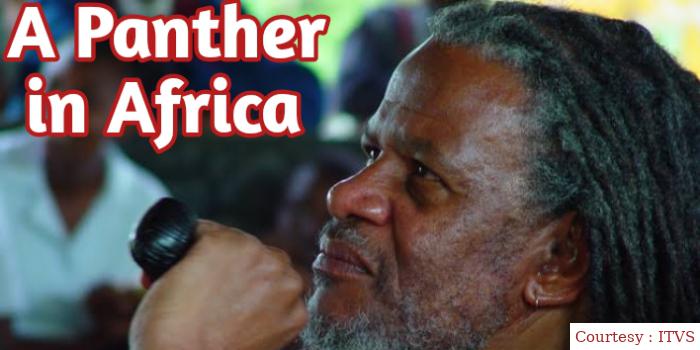Watch Free  A Panther in Africa Full Movie Online