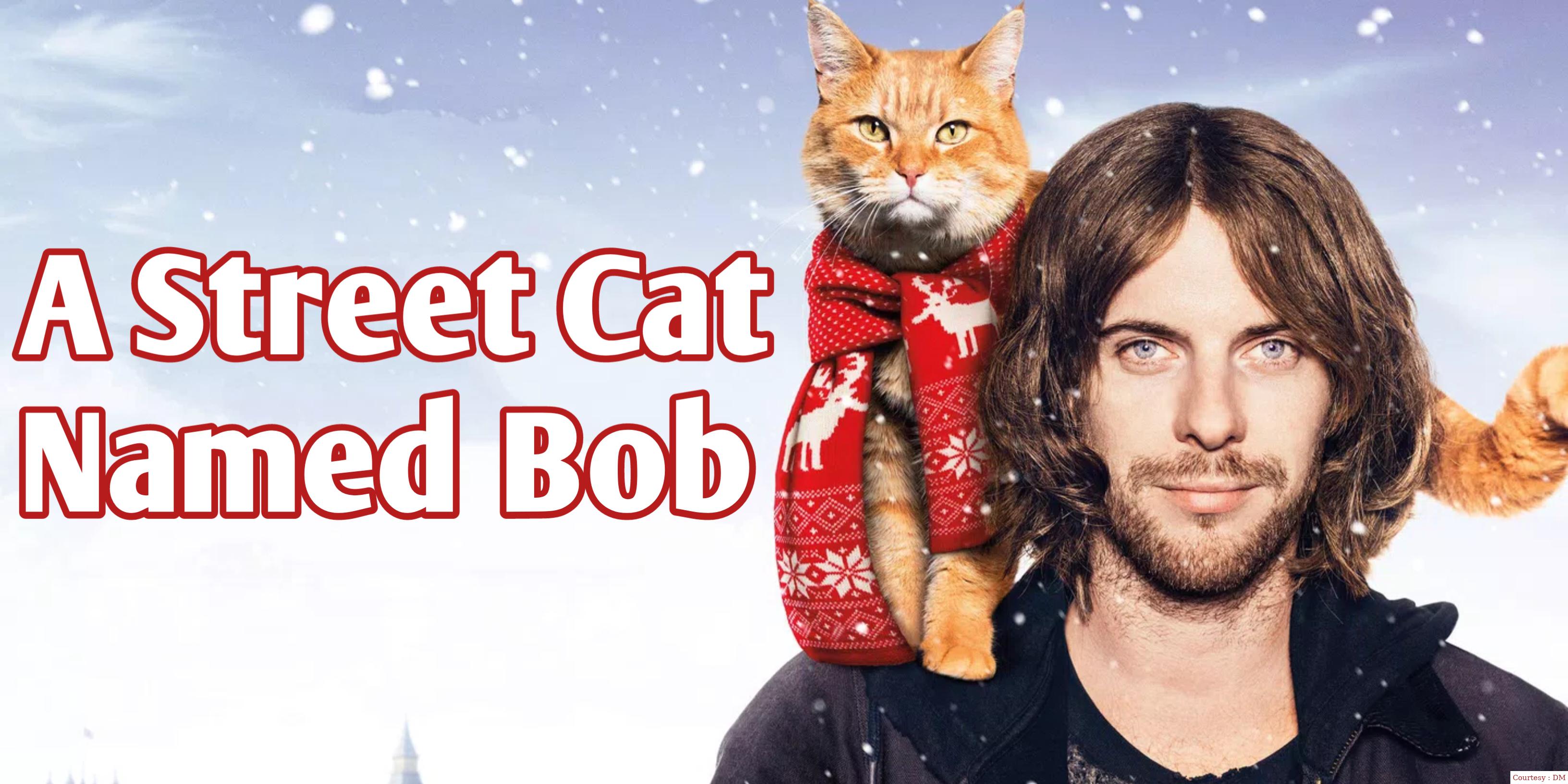 Watch Free  A Street Cat Named Bob Full Movie Online
