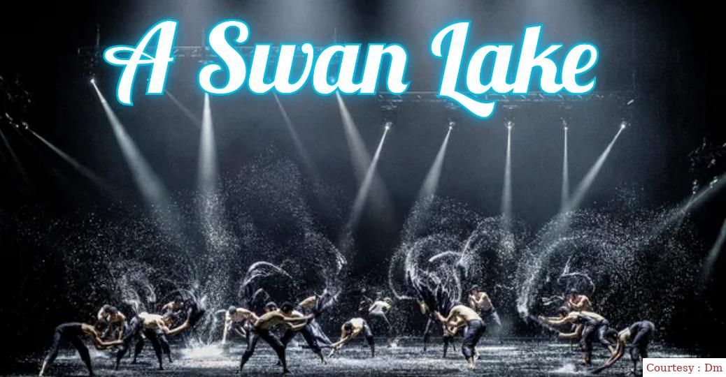 A Swan Lake