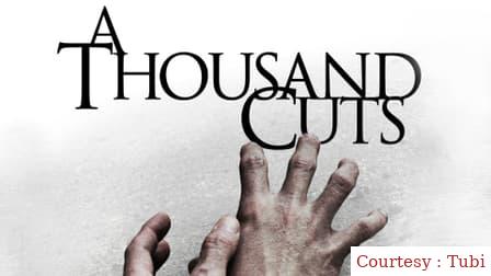 Watch Free  A Thousand Cuts Full Movie Online