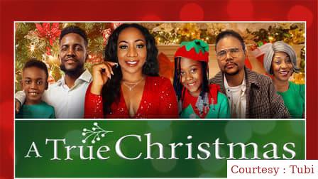 Watch Free  A True Christmas Full Movie Online
