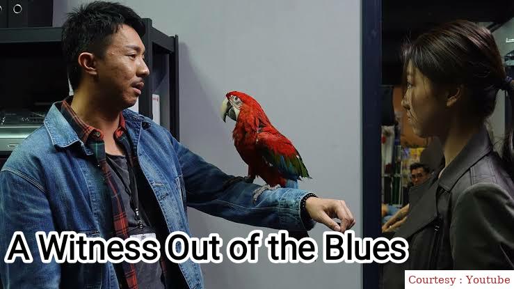 A Witness Out of the Blue 