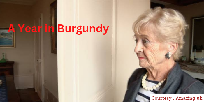 Watch Free  A Year in Burgundy Full Movie Online