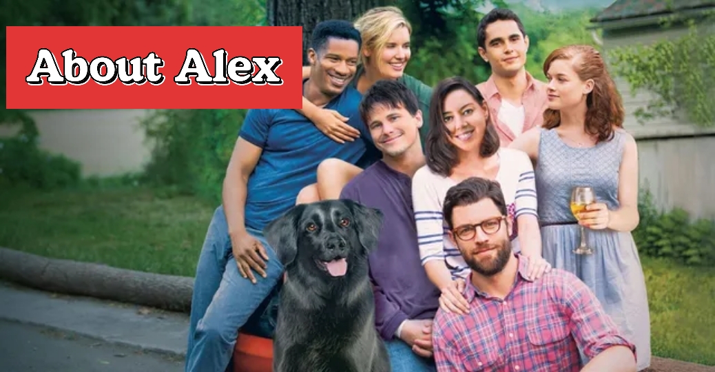 About Alex