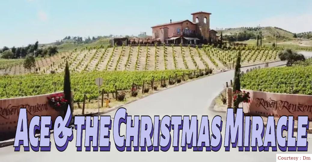 Ace & the Christmas Miracle