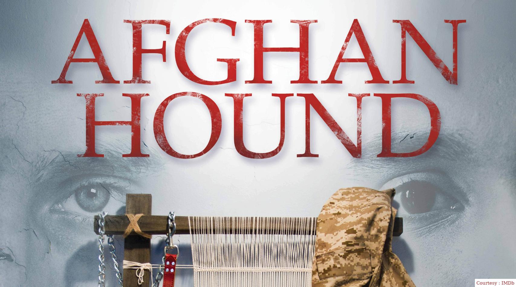 Afghan Hound 