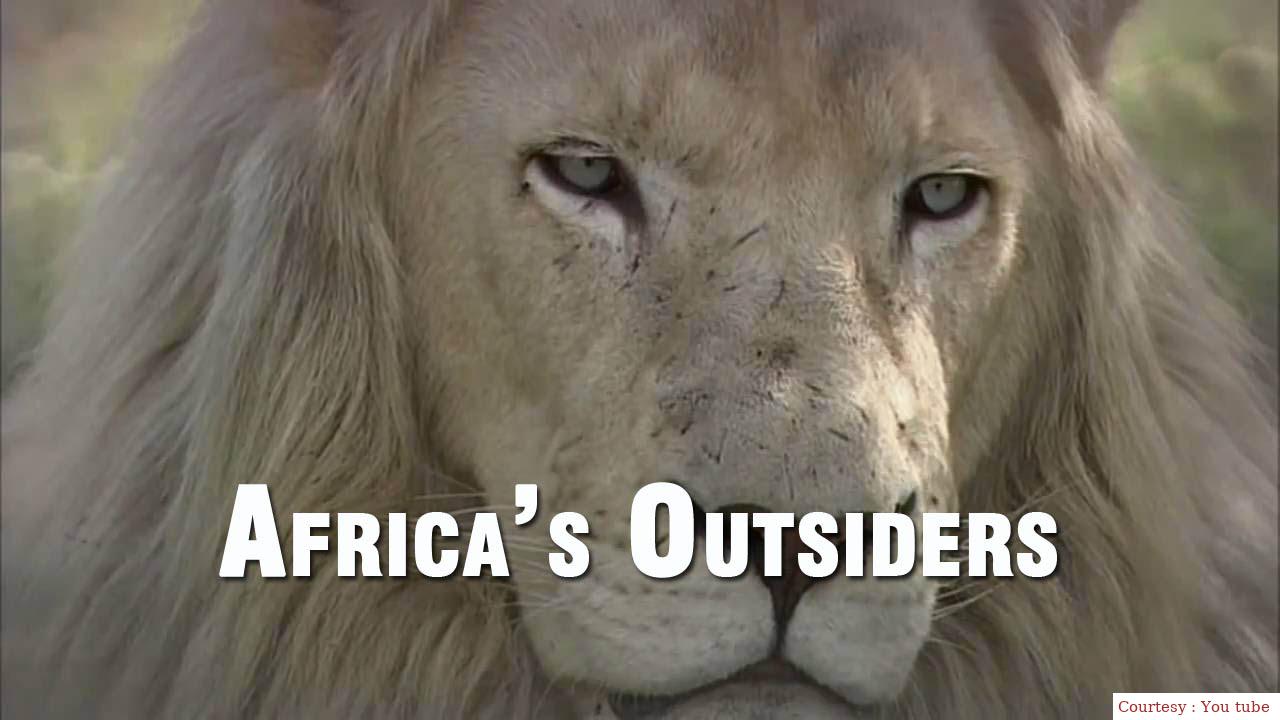Africa's Outsiders