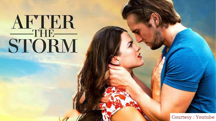 Watch Free  After the Storm Full Movie Online