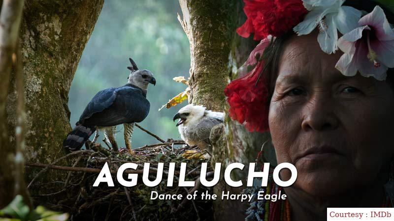 Watch Free  Aguilucho: Dance of the Harpy Eagle Full Movie Online