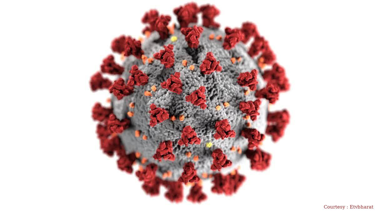 Alert on Corona, three active cases in Madhya Pradesh