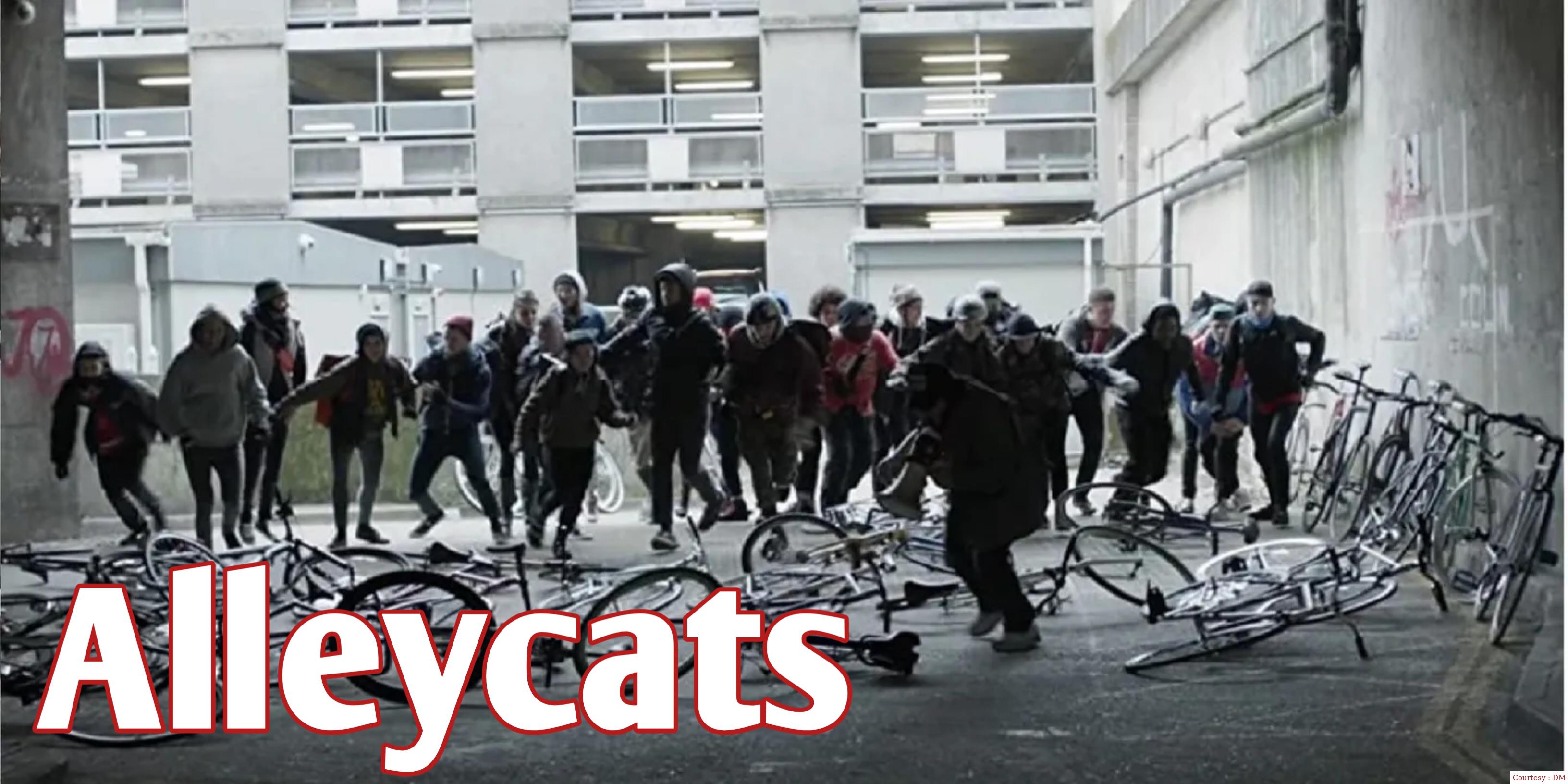 Watch Free  Alleycats Full Movie Online
