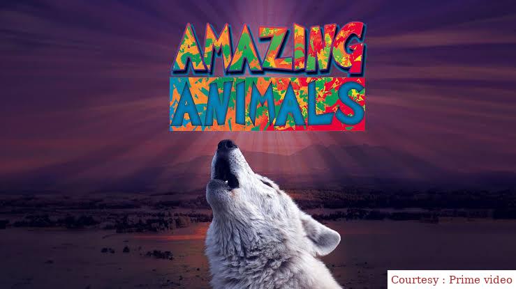 Watch Free Amazing Animals Full Movie Online