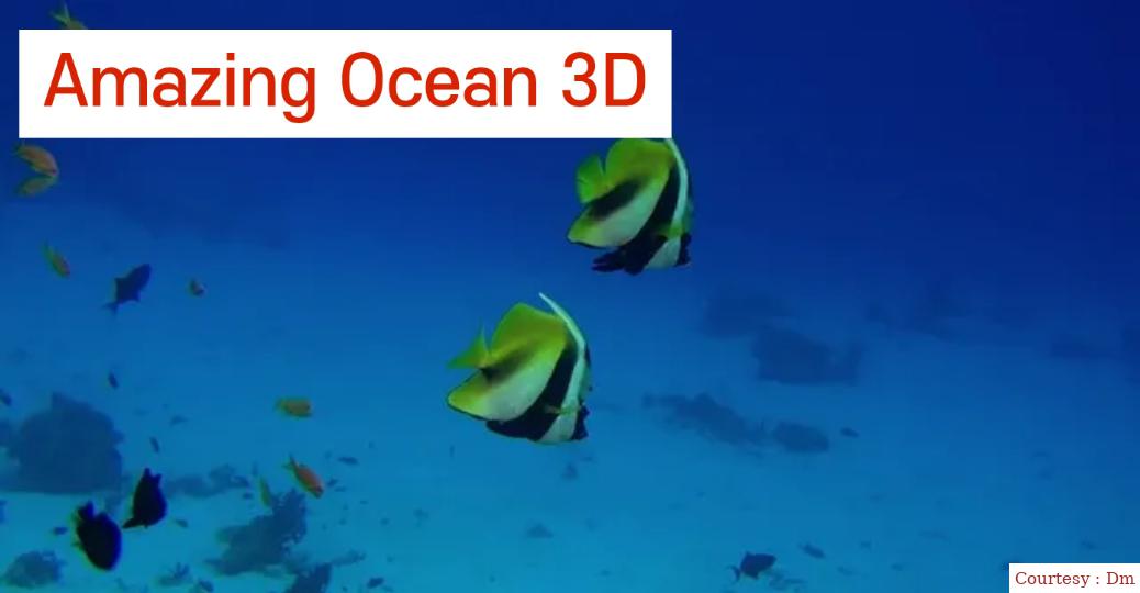 Amazing Ocean 3D