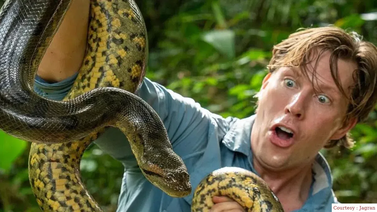 Amazon found the worlds largest snake in Renforrest