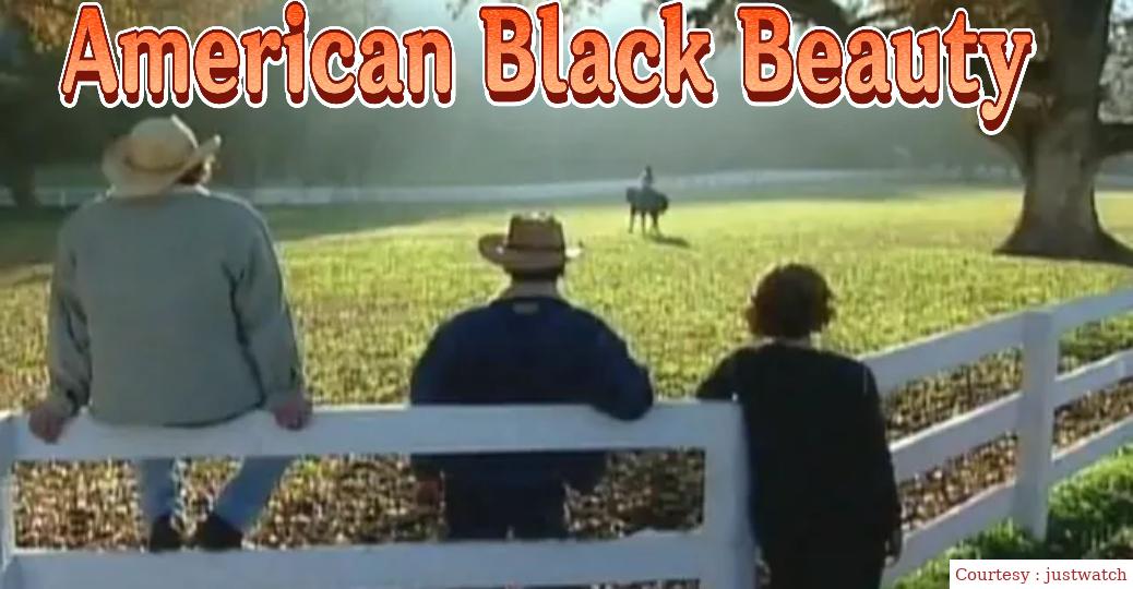 American Black Beauty