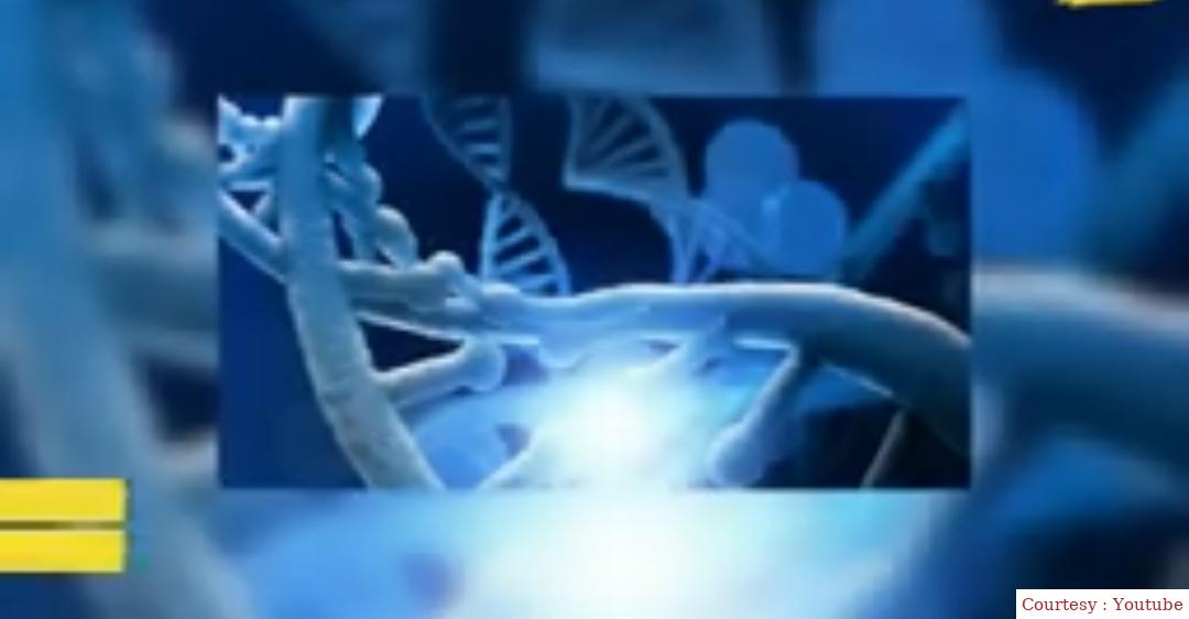 American professor wants to send DNA to the moon