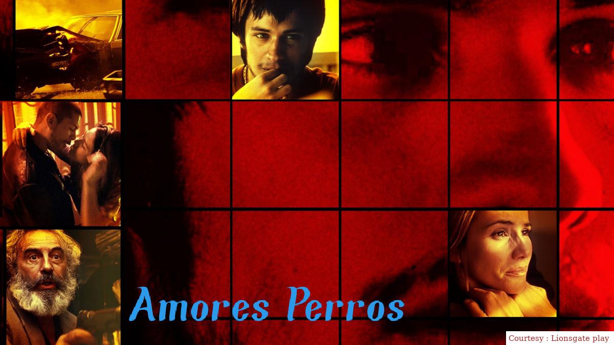 Watch Free  Amores Perros Full Movie Online
