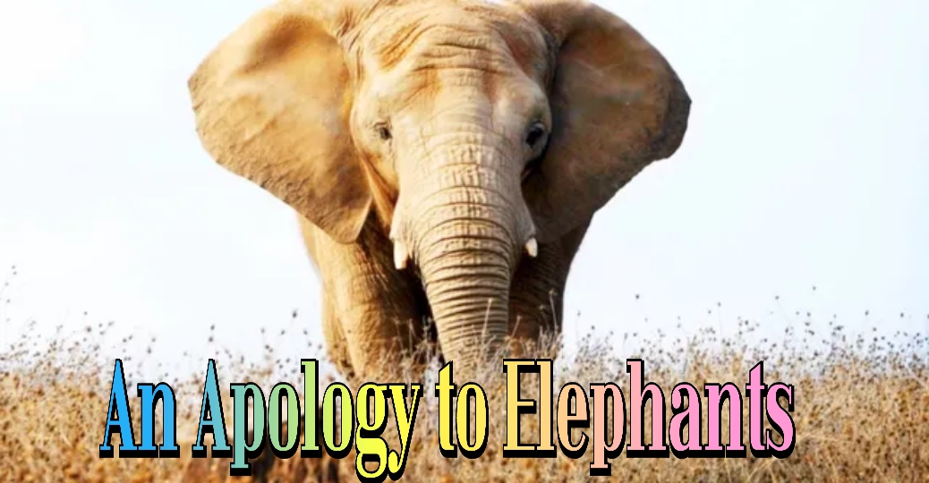 An Apology to Elephants