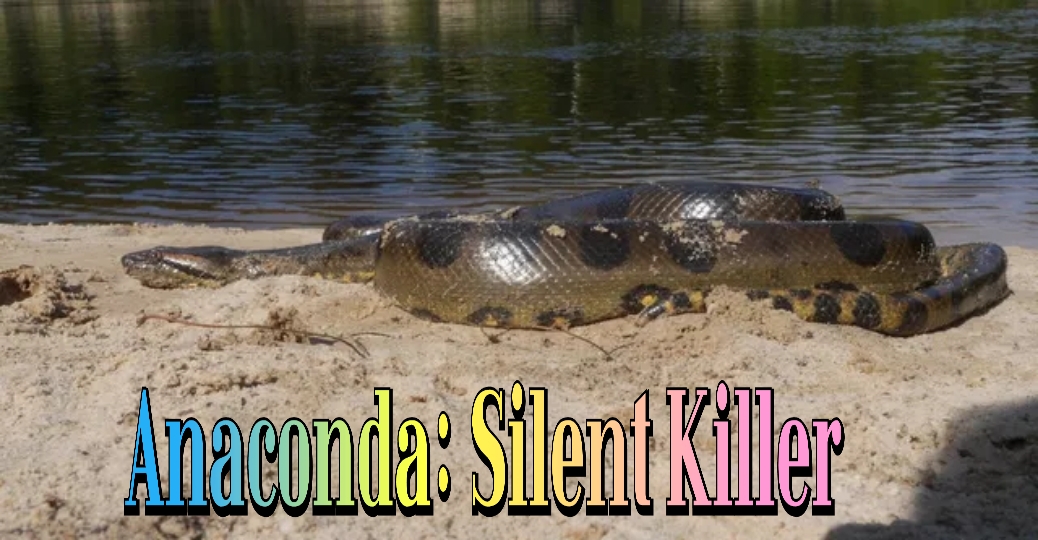 Watch Free Anaconda: Silent Killer Full Movie Online