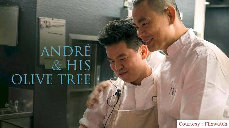 Andre and His Olive Tree
