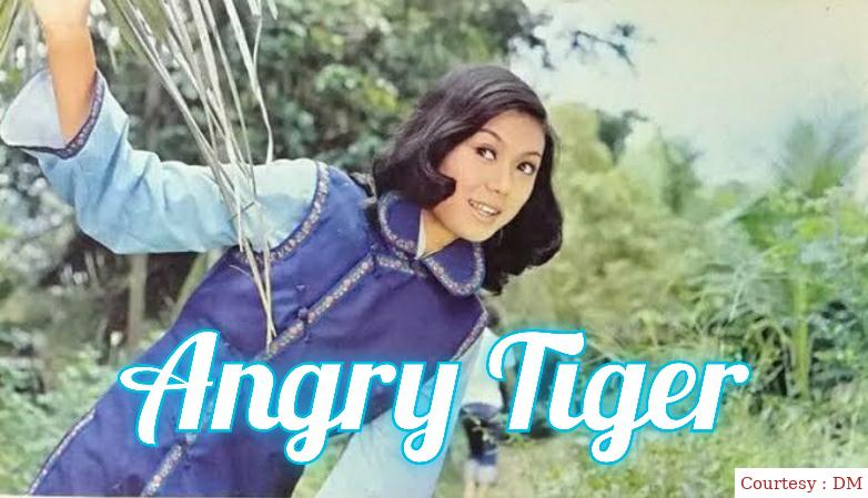 Angry Tiger